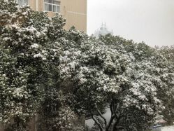 -弗蕾亚·和月月子调理院(东湖店)