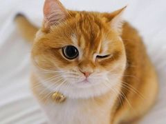 -鼎泰丰(当代商城店)