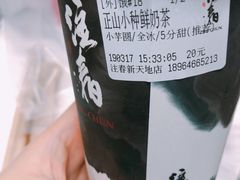 正山小种鲜奶茶-注春·荞麦奶茶(新天地旗舰店)