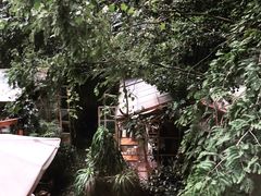 -RGF(巨鹿路店)