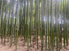 -凤城河风景区
