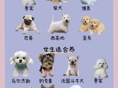-瑞鹏宠物医院犬猫全科(真大分院)