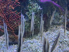 -大连老虎滩海洋公园