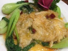 酸辣广肚-葛记焖饼(伏牛路店)