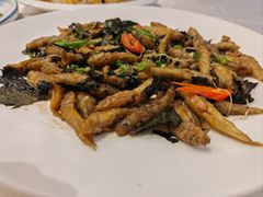 -品泉餐厅·大盆鱼·走地鸡