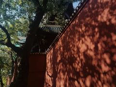 -白帝城·瞿塘峡景区