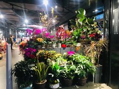 -Olé精品超市(海上世界店)