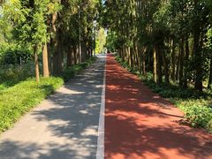 -上海长兴岛郊野公园