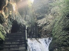 -牛背梁国家森林公园