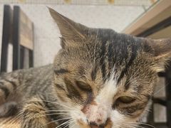 -玉椰林甜品店(创始店)