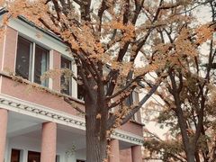 -中山路壹号传奇club·啤酒花园餐厅
