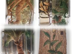 -北京中医药大学-中医药博物馆