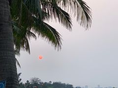 -西秀海滩公园