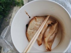 -洋洋锅贴
