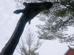 -灵玲国际马戏城
