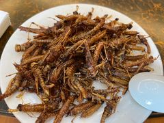 -铁锅炖灶台鱼老三炖鱼馆