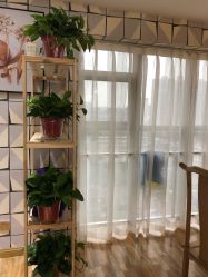 -明洞造型精品烫染