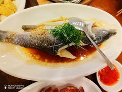 加州鲈鱼-今一靓汤.顺德菜东莞三十年老字号(厚街店)