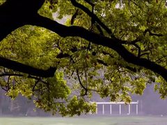 -上海共青森林公园