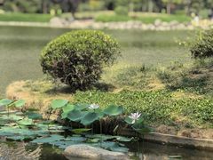 -木塔寺遗址生态公园