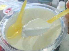 传统原味酸奶-雪露酸奶