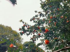 -南山风景名胜区