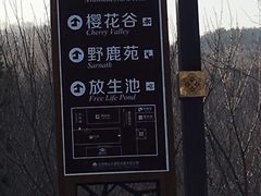 -横山寺