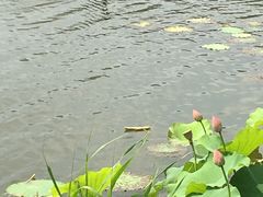 -江南大学(蠡湖校区)