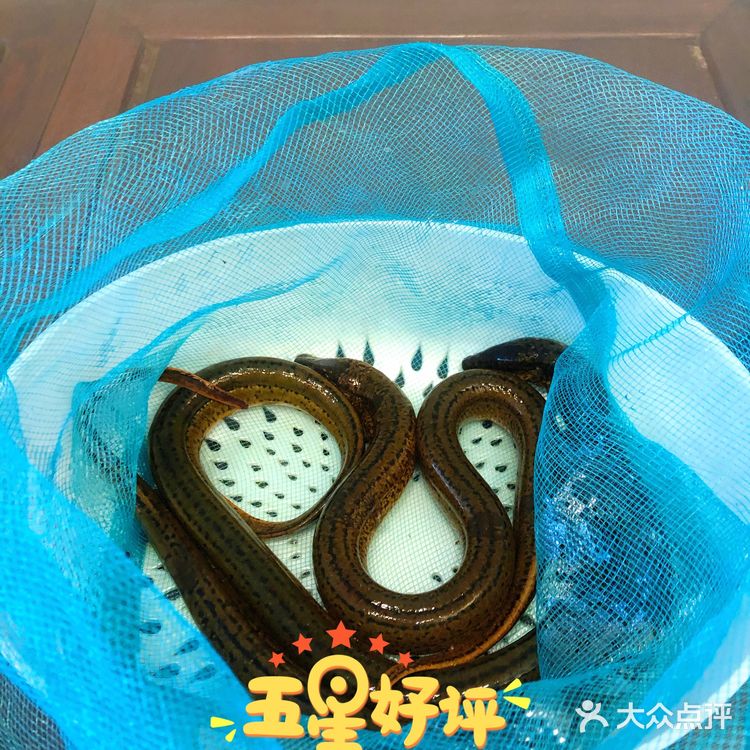 鲜到爆了,太好吃 铁皮石斛鸡汤炖一锅