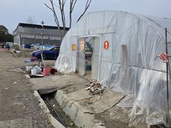 -喜杨洋草莓采摘园