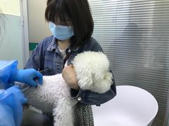 -瑞派宠物医院(锦江店)