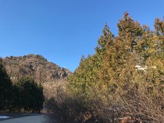 -北京鹫峰国家森林公园