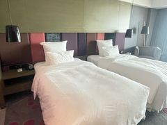 -南京禄口机场雅高铂尔曼大酒店