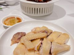 -侨美·唐荔园·40年地道粤菜