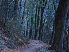 -西湖风景区十里琅珰-五云山