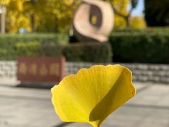 -西清公园
