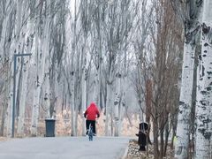 -东郊湿地公园