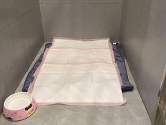 -伟伟宠物医院·CT影像中心·瑞派犬猫综合性门诊(汉口总院)