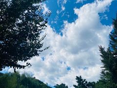-八大处公园