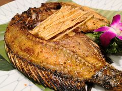 -紫滇源云南生态菜(丹凤街店)