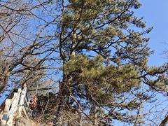 -九鼎铁刹山风景区