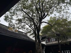 -蒋氏故居