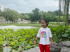 -西安市长乐公园