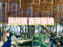 -扬州市茱萸湾风景区