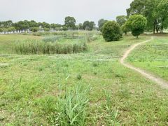 -漕湖湿地公园