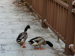-浙江工商大学杭州商学院(桐庐校区)
