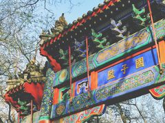-北京国子监胡同