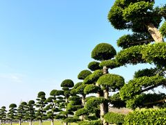 -太湖月亮湾