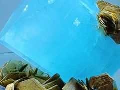 -南京维景国际大酒店(南京博物院店)