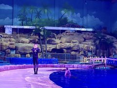 -华夏文旅海洋公园